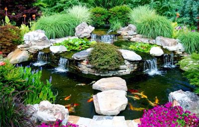 Thiết kế thi công tiểu cảnh sân vườn nhà phố tại Bình Dương
