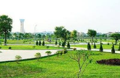 thi công cảnh quan cây xanh