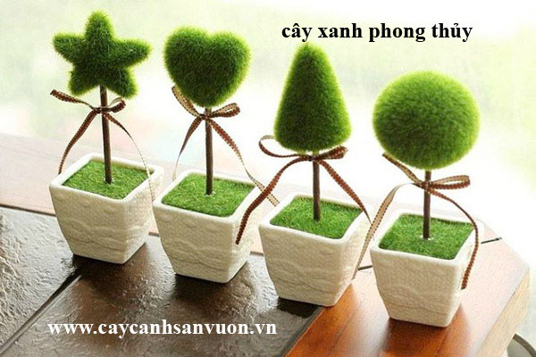 cây phong thủy