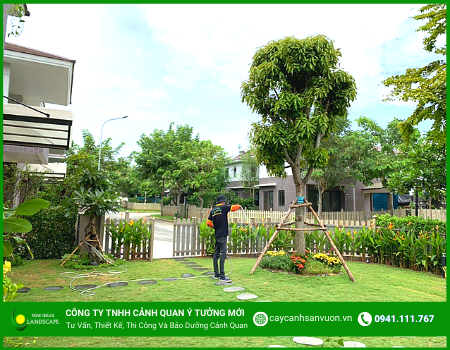 CÔNG TY THI CÔNG CẢNH QUAN UY TÍN CHẤT LƯỢNG
