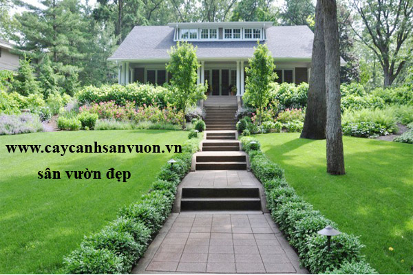sân vườn đẹp