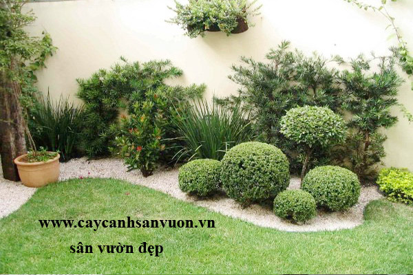 thiết kế sân vườn đẹp