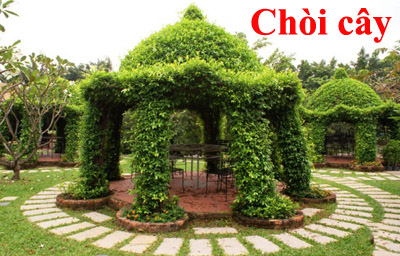 Thi công làm chòi cây xanh, nhà cây xanh, hàng rào cây xanh, kiểng thú cây xanh, tạo hình cây xanh giá rẻ