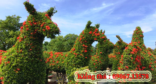 Kiểng thú cây trang