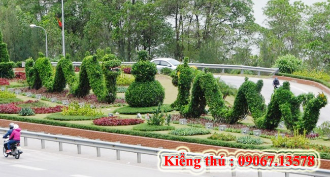 Kiểng thú 7