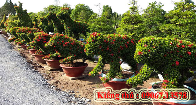 Kiểng thú 9