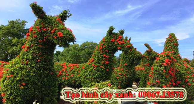 Hình cây xanh