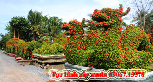 Hình cây xanh 5