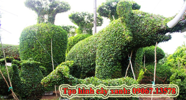 Tạo hình cây theo yêu cầu