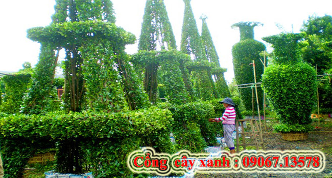 Tạo hình cây xanh
