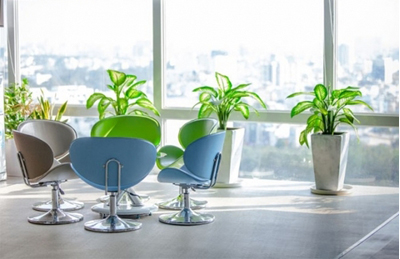 DỊCH VỤ CHO THUÊ CÂY XANH NỘI THẤT VĂN PHÒNG TẠI TPHCM