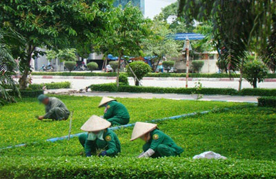 Dịch vụ chăm sóc sân vườn