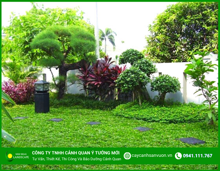 THIẾT KẾ CÂY CẢNH SÂN VƯỜN LÀM TĂNG THẨM MỸ CHO NGÔI NHÀ CỦA BẠN