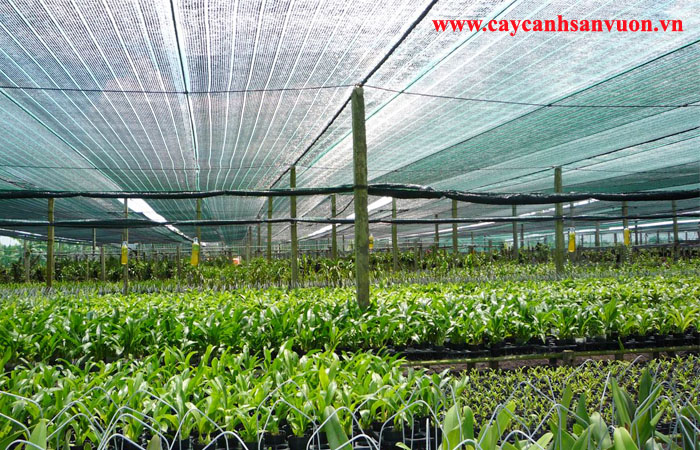 TUYỂN DỤNG KỸ SƯ NÔNG HỌC – CHUYÊN NGHÀNH BẢO VỆ THỰC VẬT