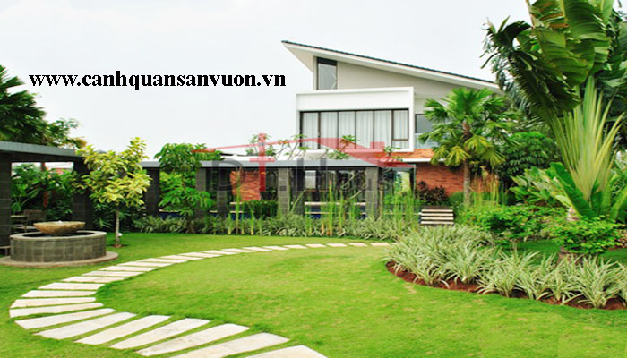 "thiết