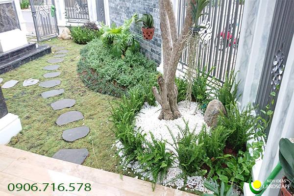 Dịch vụ thiết kế và thi công sân vườn đẳng cấp tại NIS LANDSCAPE
