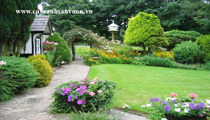 sân vườn đẹp