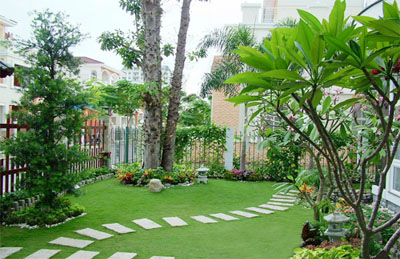 Cây cảnh sân vườn