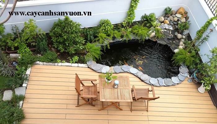 tiểu cảnh hồ cá đẹp