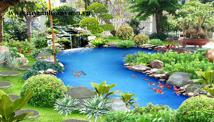 tiểu cảnh hồ cá đẹp