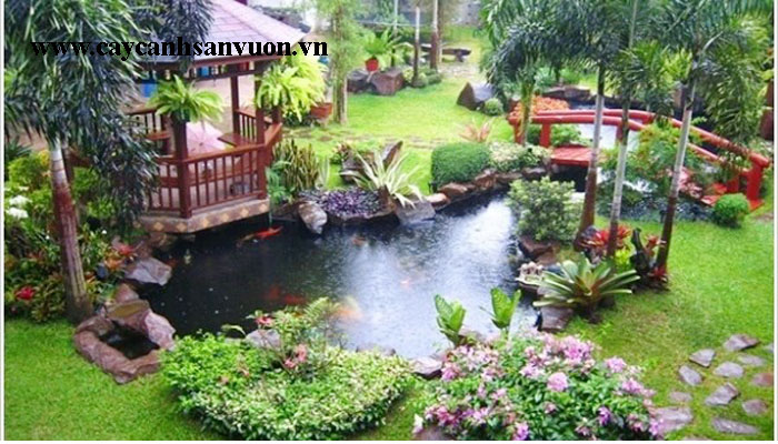 tiểu cảnh hồ cá đẹp