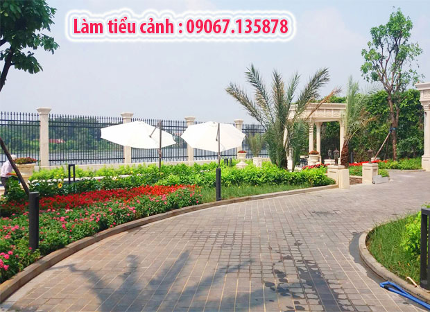 "Cảnh