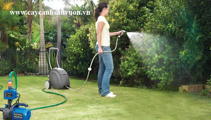 chăm sóc cây ngoài trời